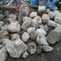 庭石の画像