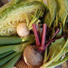 冬野菜セットB　ラスト