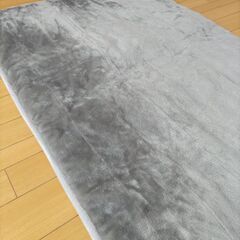 電気カーペットの画像