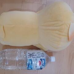 んぽちゃむの画像