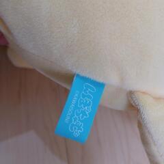 んぽちゃむの画像