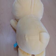 んぽちゃむの画像