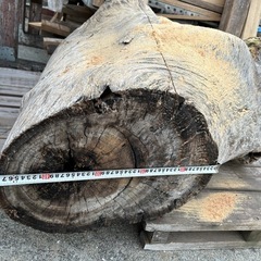 クスの木〇円‼️キャンプ🔥輪切りで、芸術作品にいかがですか‼️の画像