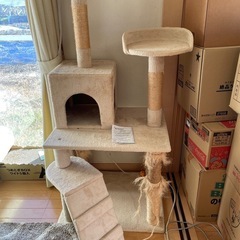 話し中  キャットタワー  0円 猫ちゃん大好き