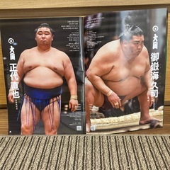 令和四年　大相撲五月場所　パンフレットの画像