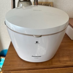 Panasonic イオンスチーマーナノケア