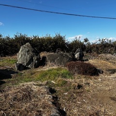 庭園用の大岩の画像