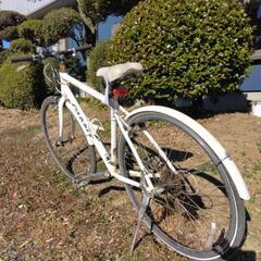 値下げ➡　自転車🚲の画像