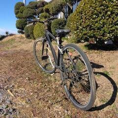 自転車🚲の画像