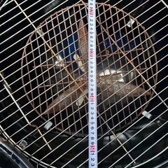 【最終値下げ】ウェーバーのBBQグリルの画像