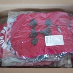 ペット用服他　箱詰め