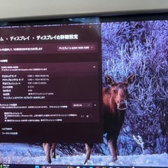 SONY 17インチ トリニトロンCRTモニター HMD-A200 [最大解像度1280×1024 60Hz SXGA VGA] 【中古 動作品】の画像