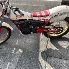 YAMAHA 250 の画像