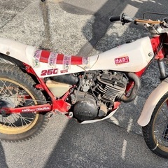 YAMAHA 250 の画像