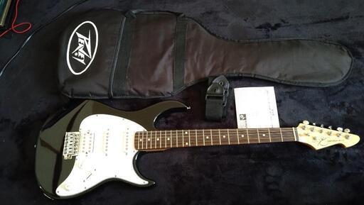 PEAVEY RAPTOR PLUS EXP　楽器 ギター