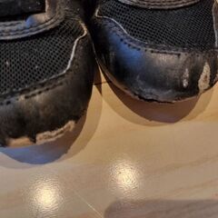 ニューバランス　18㌢の画像
