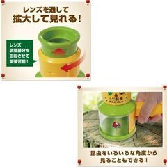 わくわく昆虫観察キット（新品）の画像