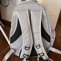 (購入者決定)猫用バッグの画像