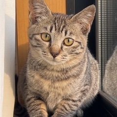 元気いっぱいお転婆女の子