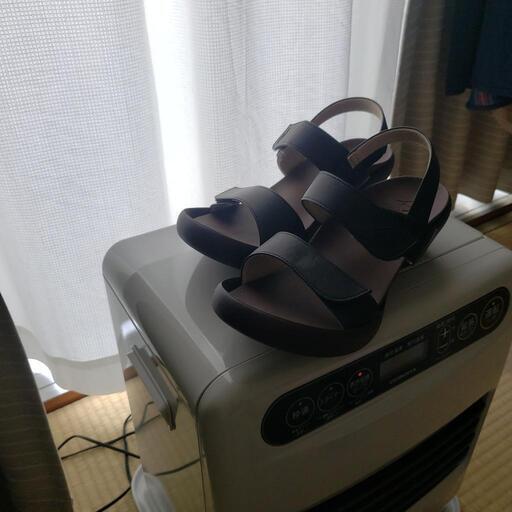 リゲッタカヌー　幅広4E　新品
