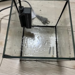 ベタ用　KOTOBUKI 水槽　ヒーター　セットの画像