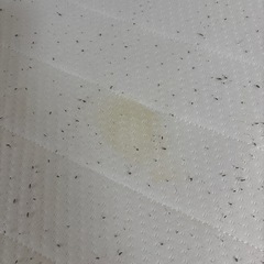 【終了】シングルベッド　脚付の画像