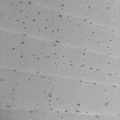 【終了】シングルベッド　脚付の画像