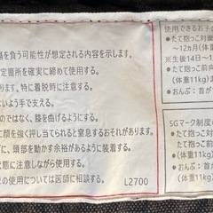 抱っこ紐
の画像