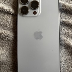 (受け渡し予定者決定)iPhone13Pro(オンライン決済変更可)