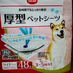 厚型ペットシーツ　吸収シート