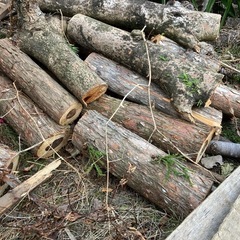 杉丸田他　暖炉　焚き木に　無料