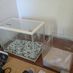 熱帯魚飼育セット（メダカ、金魚の飼育セット）