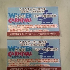２枚組★ひらかたパーク　ウィンターカーニバル入場券（雪あそび広場...