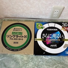 30形丸型電球2本セット