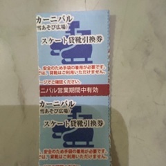 ひらパー　2枚スケート貸靴券のみ