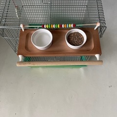 小鳥用 エサ入れ ＆ 水入れ 止まり木 そろばん付き 遊び場スタンド エンド グリーン 手作り 未使用自宅保管品  の画像