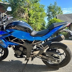 KAWASAKI Z250 SL 2016