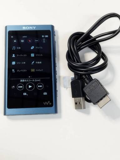 SONY WALKMAN NW-A55 + microSD 32GB SONY ウォークマン NW-A55