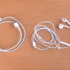 新品・未使用　Apple　ライトニング　イヤホンとケーブルのセット