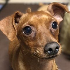 ブランクから復帰したいあなたへ…感謝されるやりがい、ここにあります！/リハ職の画像