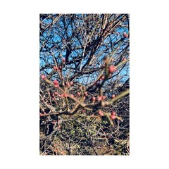 1月のリトミックの画像