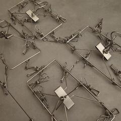 NITORI オールステンレス小物ハンガー