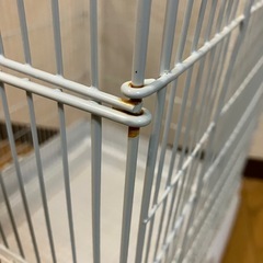 小動物･小鳥飼育用ケージ　
SANKO イージーホーム40ハイ ホワイトの画像