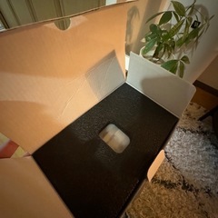 プロジェクターの画像