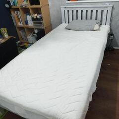 シングルベット
