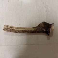 鹿の角（犬用）