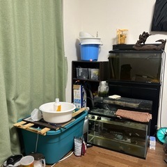 アクアリウム用品、生体
