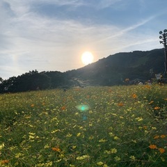 お悩み解決系チャンネル♪