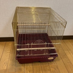 鳥カゴ　バードパレス　クイーン