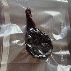 ツキノワグマ　胆嚢の画像